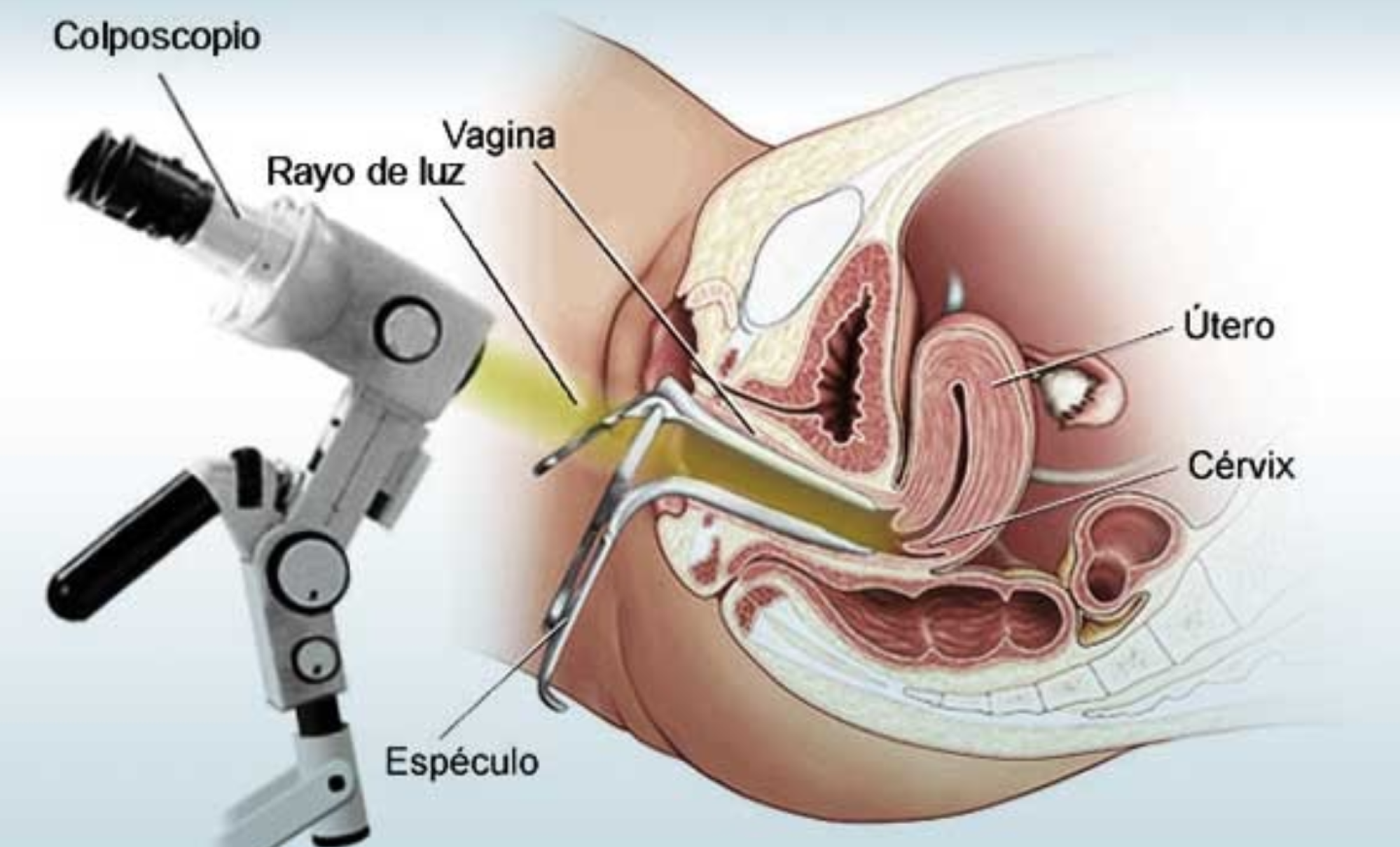 Dr. Galo Rivadeneira